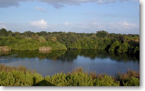 Hibiscus-Bay-House-Lake.jpg (35465 Byte)