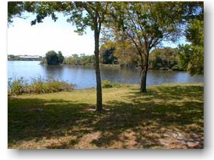 view to Lake Sarasota