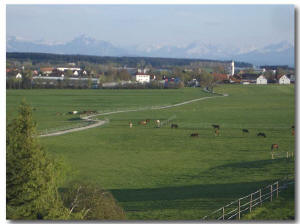 Koppeln mit Bergblick